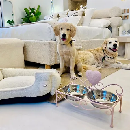 Aldea Calma ホテル